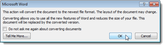 Warning dialog box about converting the document
