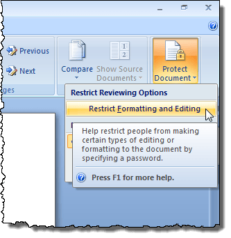 Selecting Protect Document in Word 2007